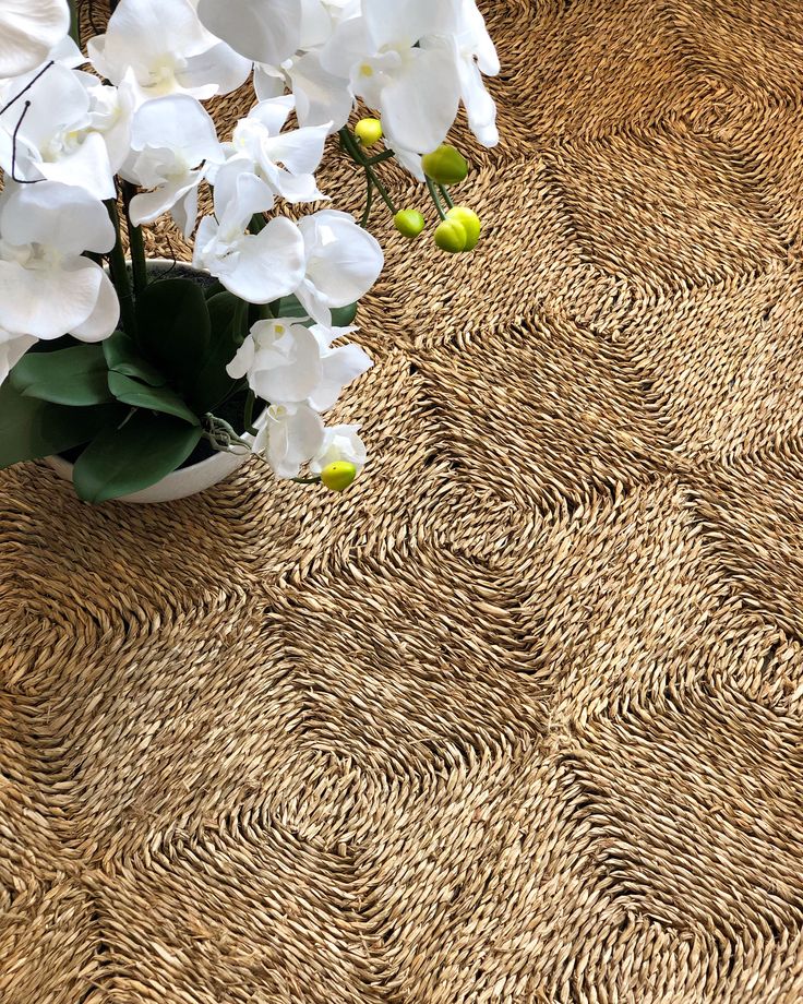 seagrass-carpets