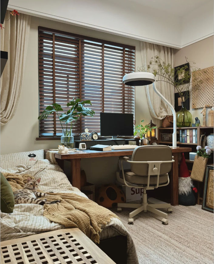 Office Curtains