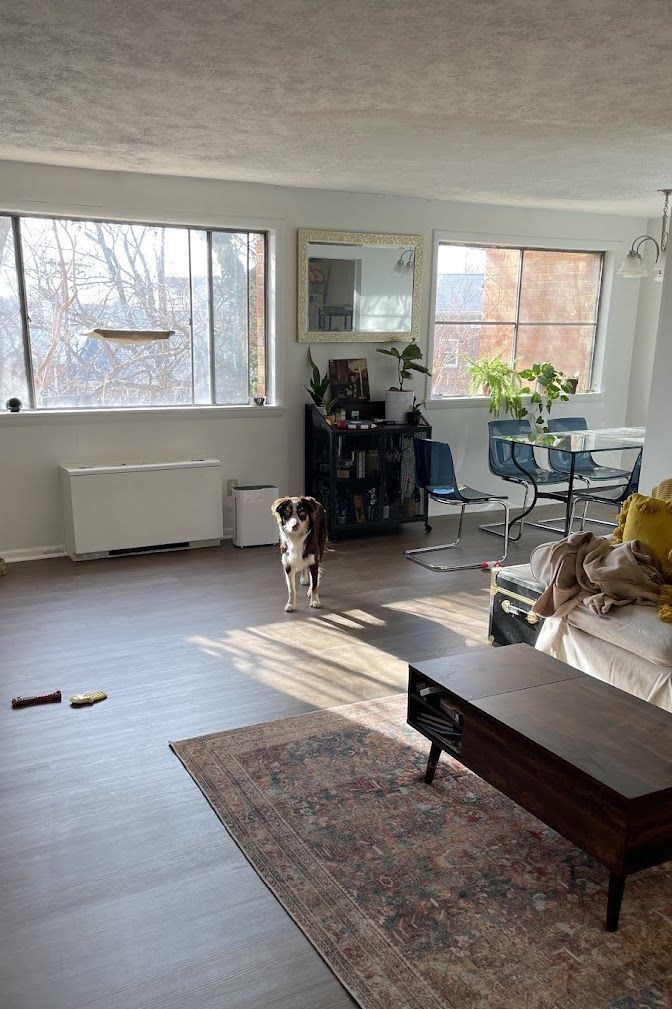 pet-friendly-flooring